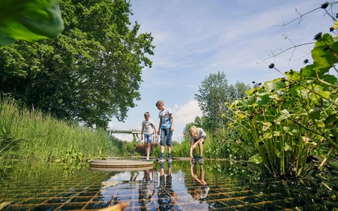 Die brandenburgische Seenplatte für alle Sinne